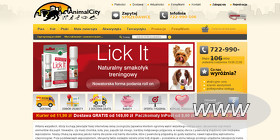 AnimalCity.pl Filip Mikołajczyk